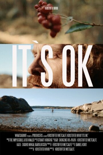 Its Ok (2014)
